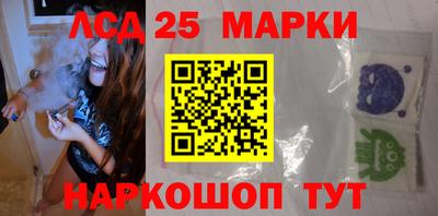 гидропоника Владимир