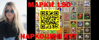 гидропоника Владимир