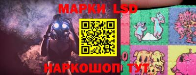 гидропоника Владимир