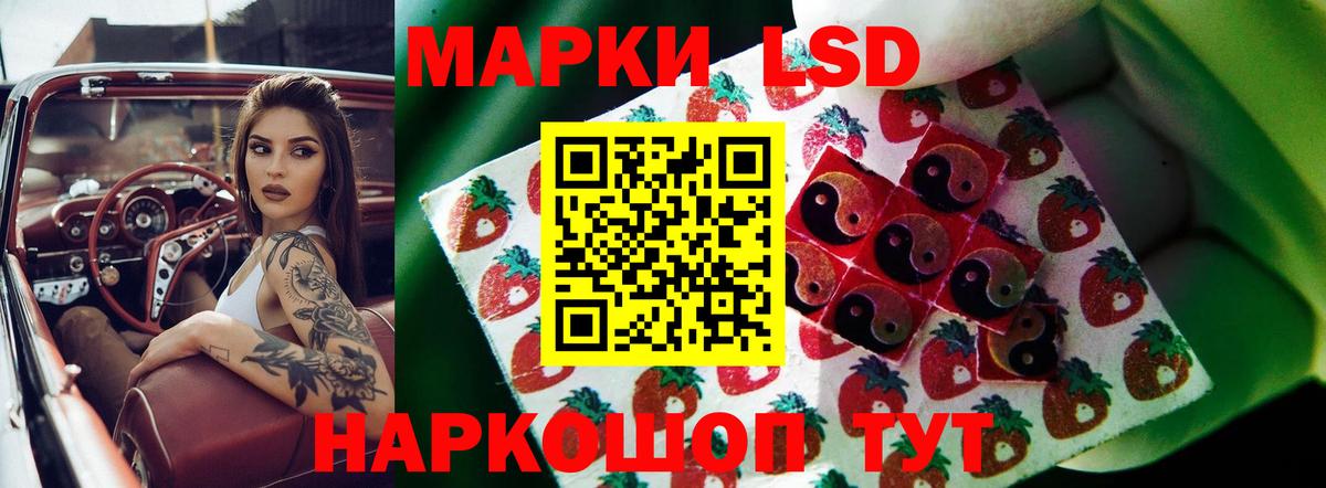Ачхой-Мартан  LSD-25 экстази кислота  LSD-25 экстази кислота  Вход с VPN 