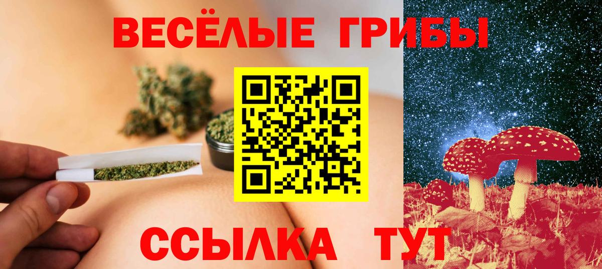 Галлюциногенные грибы MAGIC MUSHROOMS  Вход с VPN  Ачхой-Мартан 