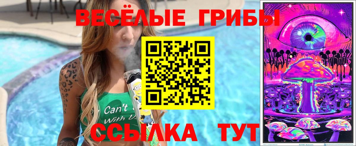 Галлюциногенные грибы мицелий Ачхой-Мартан