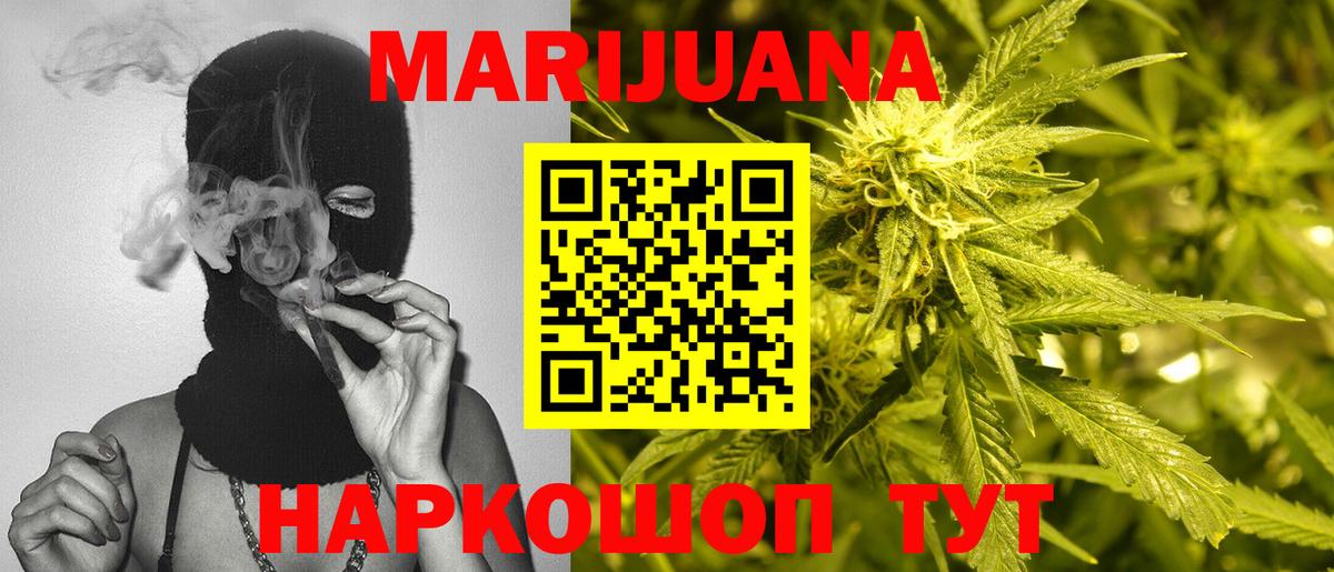 Конопля конопля Ачхой-Мартан